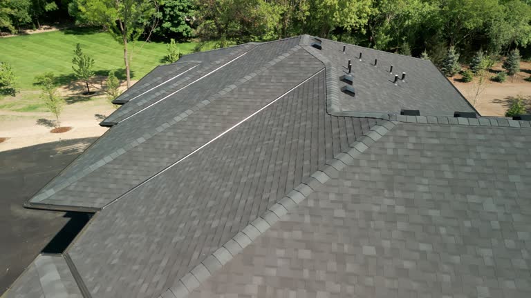 Best Green or Eco-Friendly Roofing Solutions  in Port Orange, FL